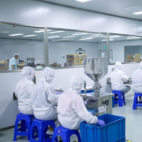 專業功效護膚科技工廠 信息技術咨詢服務如何精準捕捉市場需求